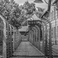 Auschwitz I - 07